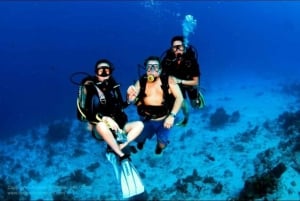 Cancún: Cozumel 2-Tank Diving Tour with Lunch & Transfers