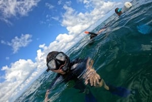 Cancún: Cozumel 2-Tank Diving Tour with Lunch & Transfers