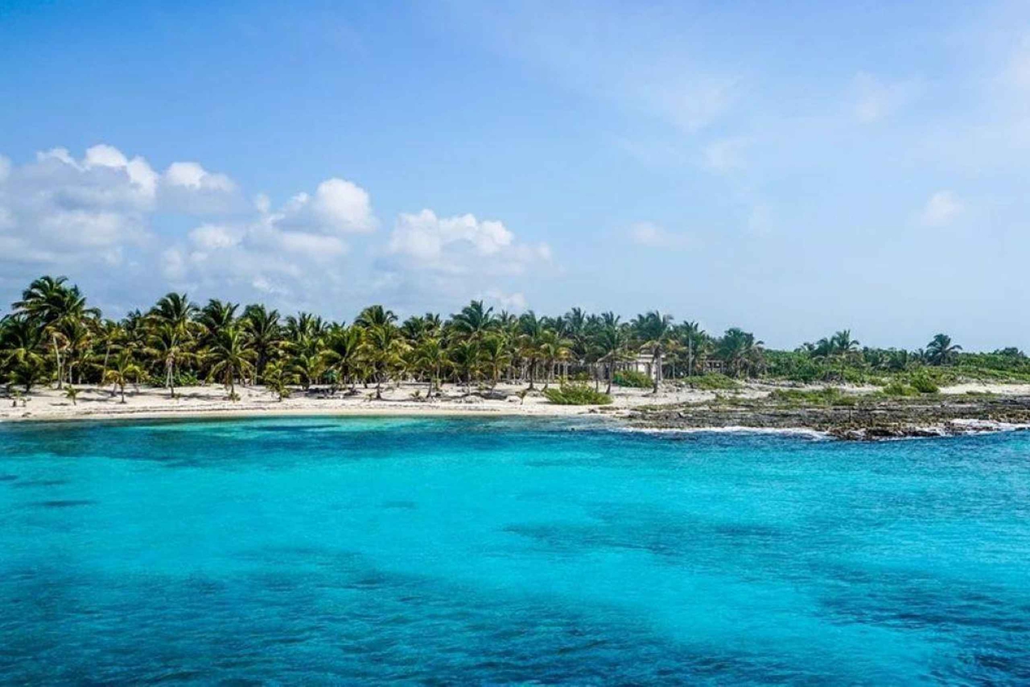 Cancun - dykning Cozumel Dykning för nybörjare
