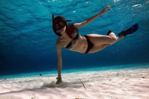 Cancun: Snorkelopplevelse i Cozumel