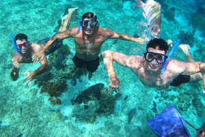 Cancun: Snorkelopplevelse i Cozumel