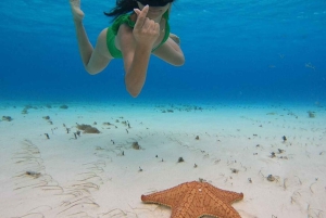Cancun: Snorkelopplevelse i Cozumel