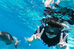 Cancun: Snorkelopplevelse i Cozumel