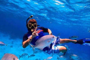Cancun: Snorkelopplevelse i Cozumel