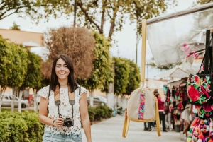 Cancun Cultural Odyssey: Private Tour Through City’s History