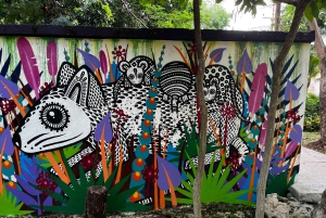 Cancun Downtown Evening Walking Tour