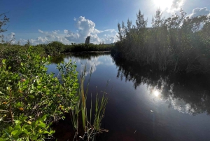 Cancun Downtown Evening Walking Tour