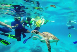 Cancun: Explore Tulum, swim with turtles, and visit a cenote