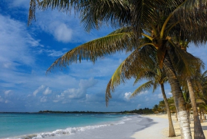 Cancun: Explore Tulum, swim with turtles, and visit a cenote