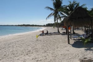 Cancun: Explore Tulum, swim with turtles, and visit a cenote