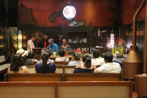 Cancun Guided Sightseeing, Shopping and Tasting Tour