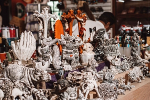 Cancun Guided Sightseeing, Shopping and Tasting Tour