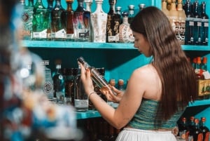 Cancun Guided Sightseeing, Shopping and Tasting Tour