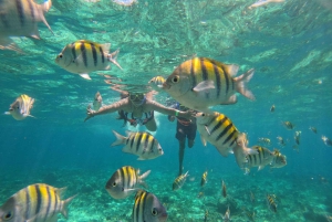 Cancún: Halve dag privé catamaran met snorkelen. 25 gasten