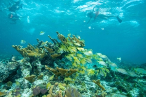 Cancún: Halve dag privé catamaran met snorkelen. 25 gasten