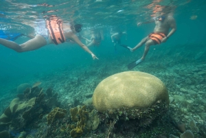 Cancún: Isla Mujeres All-Inclusive privat katamaran-tur