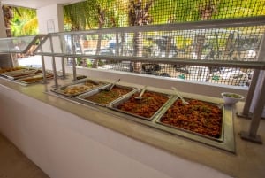 Cancun: Isla Mujeres Catamaran Cruise with Lunch & Open Bar