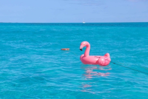 Cancún: crucero de un día completo a Isla Mujeres con baile