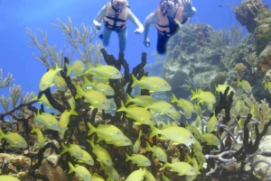 Cancun: Isla Mujeres-jachttocht