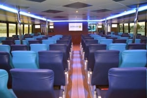 Cancun/Playa del Carmen: Isla Mujeres & Cozumel Ferry Ticket