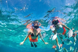 Cancún: Premium katamaran med transport og havneavgift