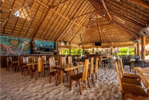 Cancún: Premium katamaran med transport og havneavgift