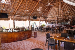 Cancún: Premium katamaran med transport og havneavgift