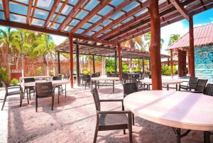 Cancún: Premium katamaran med transport og havneavgift