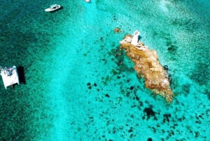 Cancún: Premium katamaran med transport og havneavgift