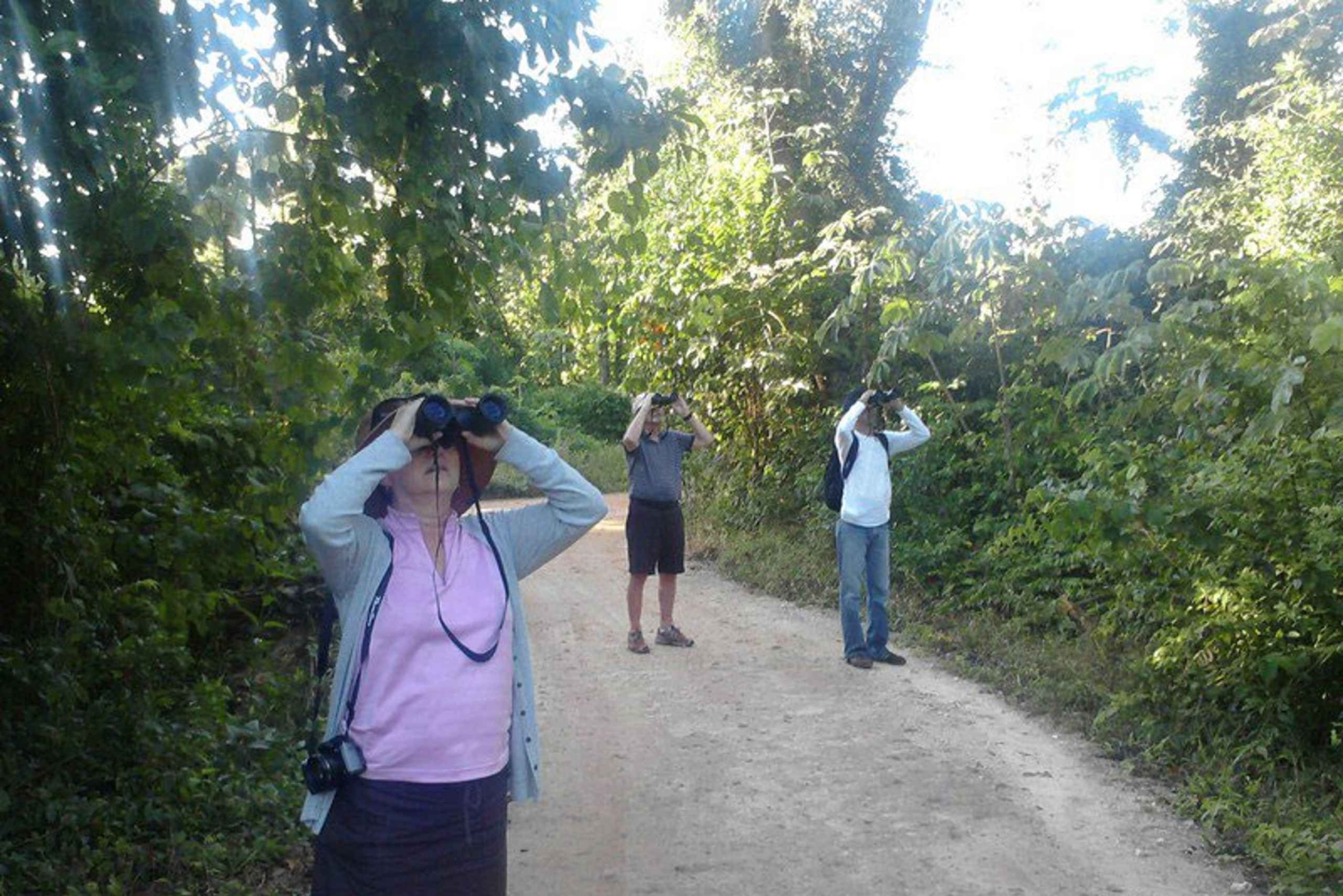 Cancún: Tour privado de observación de aves