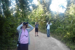 Cancún: Tour privado de observación de aves