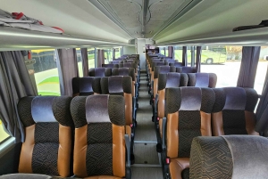 Cancún: autobús privado a Chichén Itzá