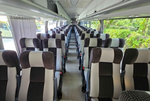 Cancún: autobús privado a Chichén Itzá