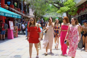 Cancun/Puerto Morelos: Viagem a Tulum, Cenote e Playa del Carmen