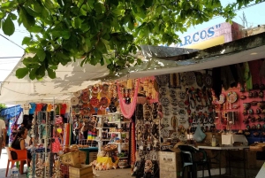 Cancún: Tour de compras e mercado 28