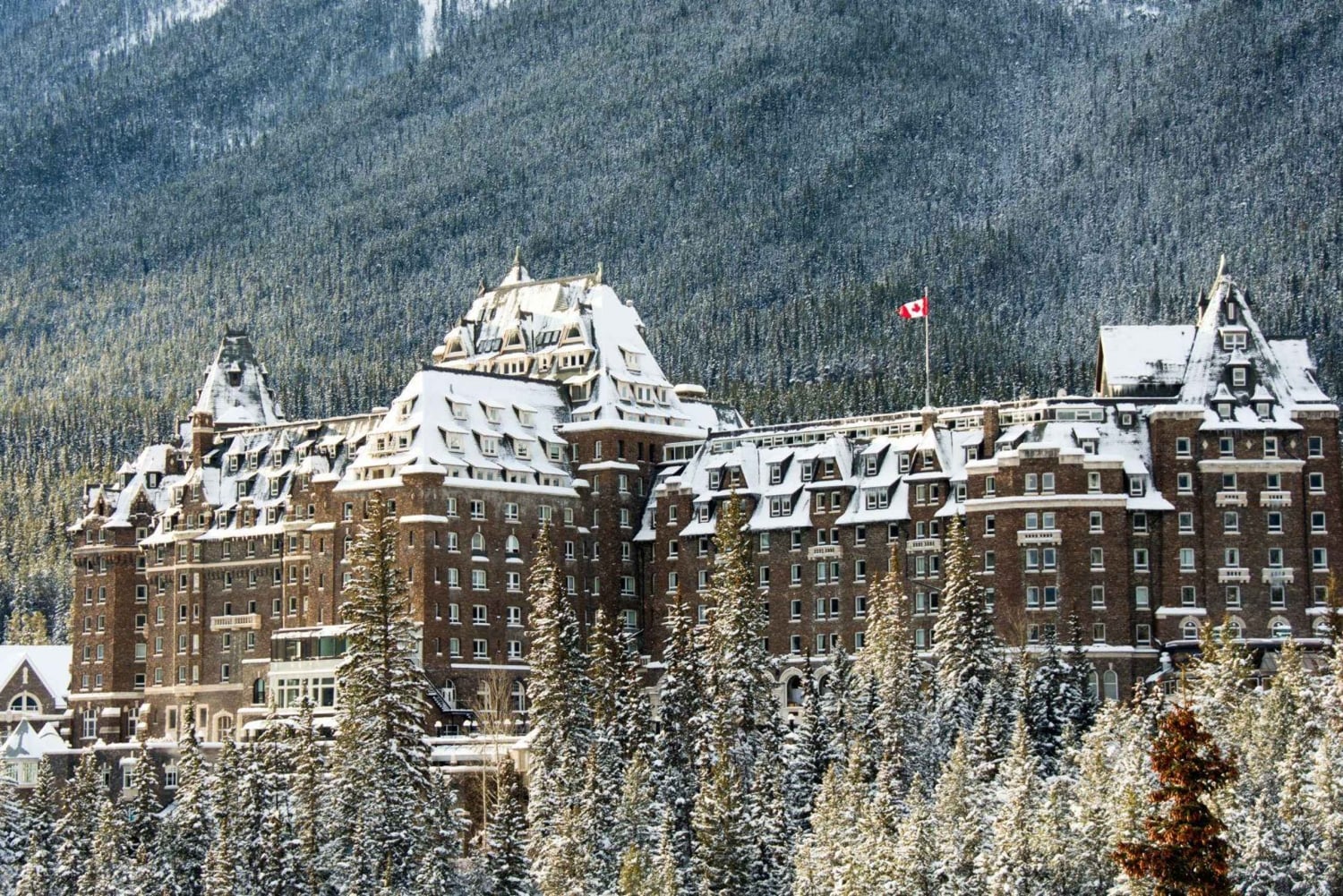 Canmore/Banff: Udforsk Banff og dyrelivet