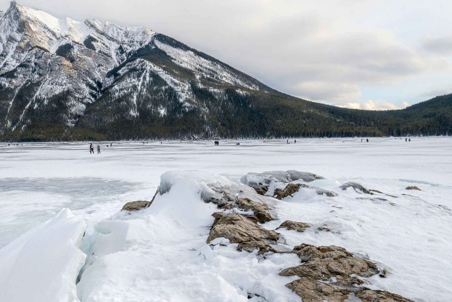 Canmore/Banff: Udforsk Banff og dyrelivet