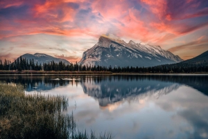 Canmore/Banff: Udforsk Banff og dyrelivet