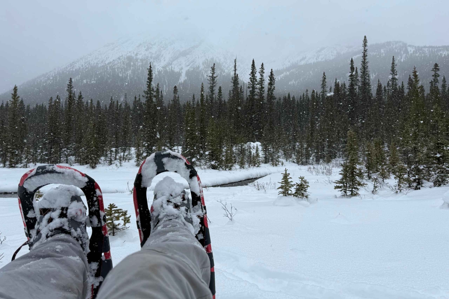Canmore/Banff: Snowshoeing Adventure 2hrs +Transportation