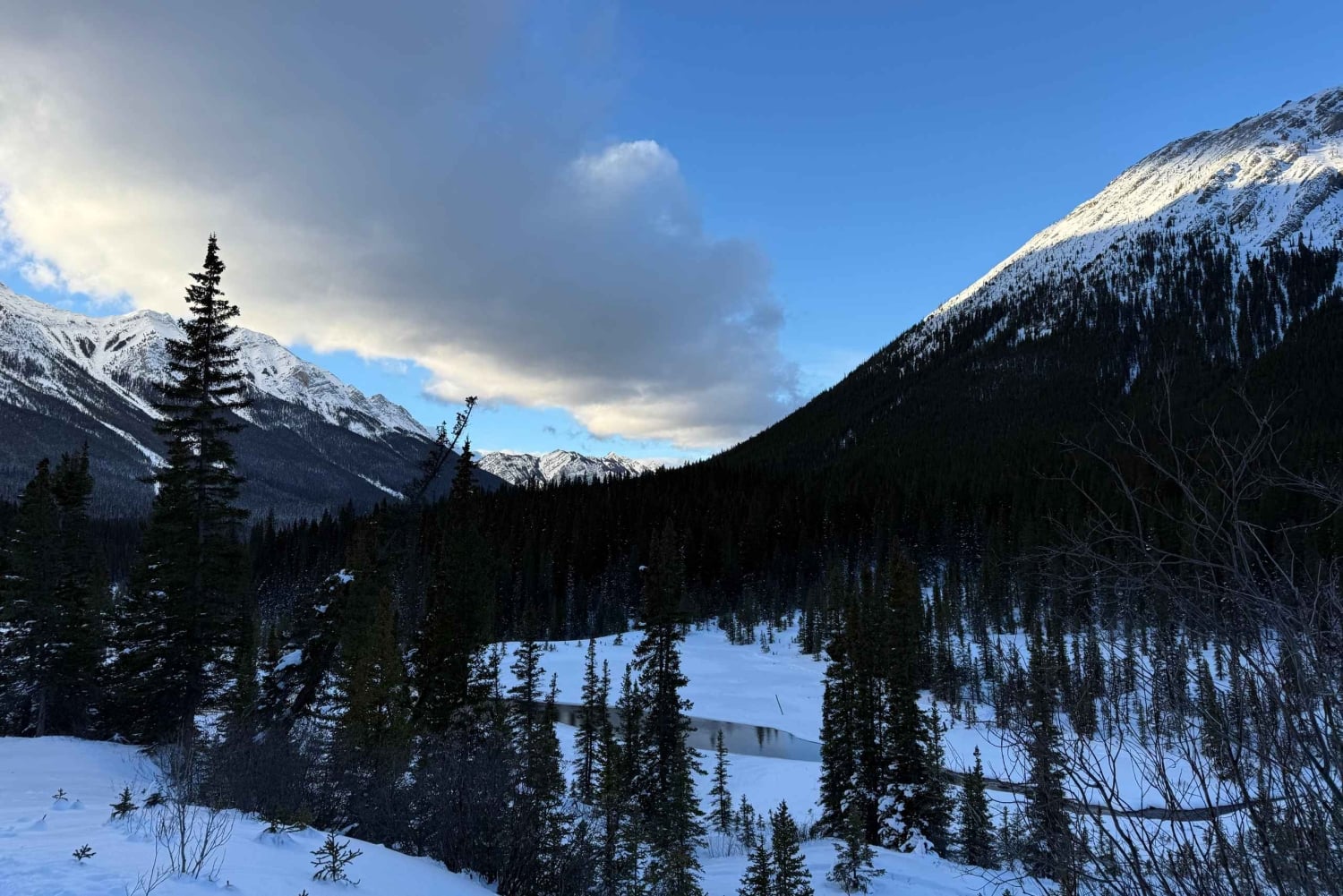 Canmore/Banff: Snowshoeing Adventure 2hrs +Transportation