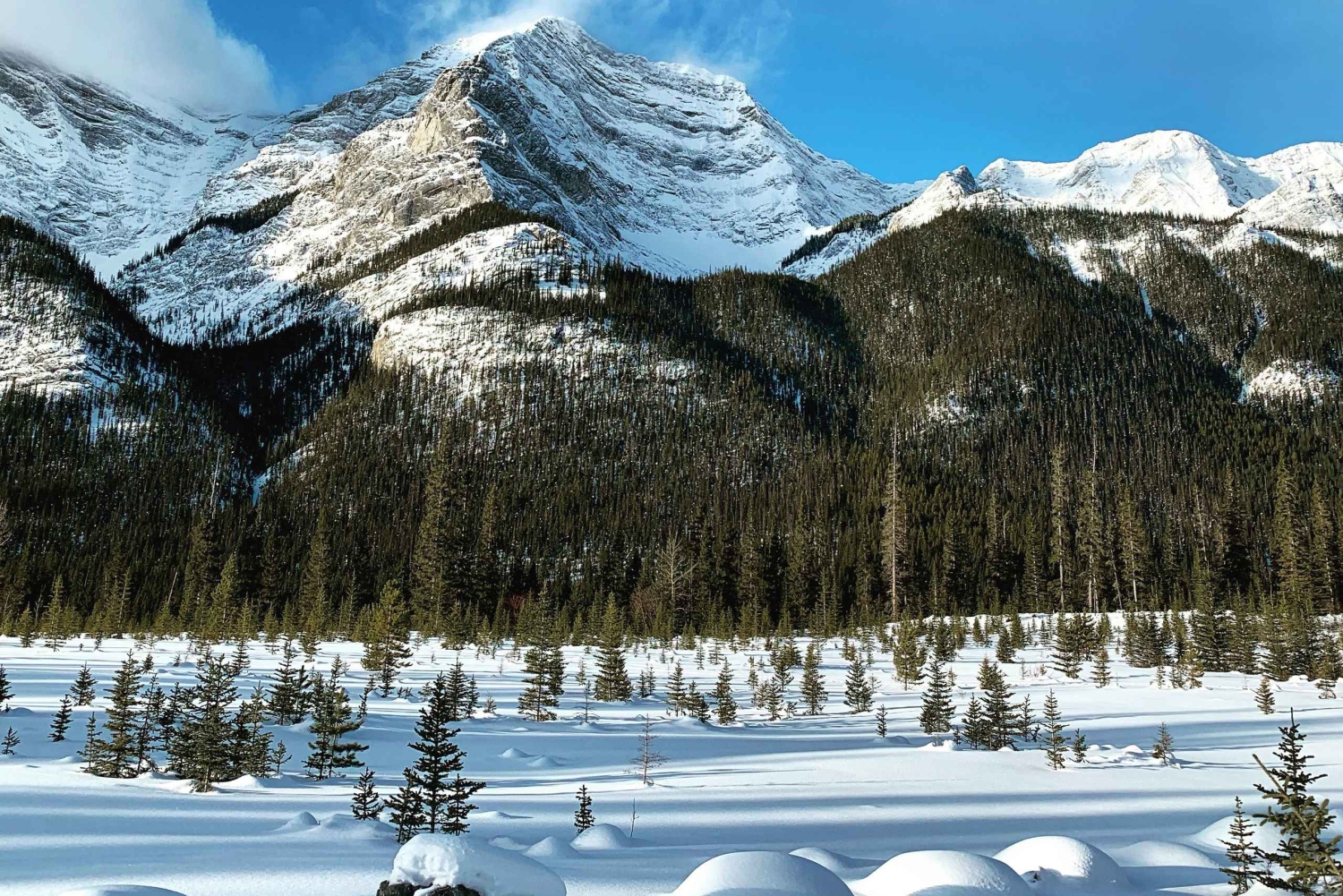 Canmore/Banff: Snowshoeing Adventure 2hrs +Transportation