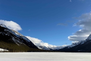Canmore/Banff: Snowshoeing Adventure 2hrs +Transportation