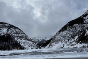 Canmore/Banff: Snowshoeing Adventure 2hrs +Transportation