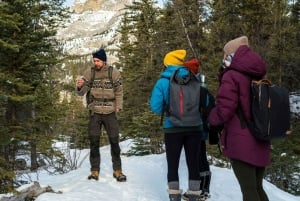 Канмор: наблюдение за звездами и ночное приключение