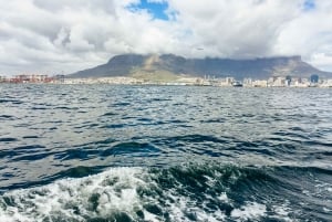 Città del Capo: crociera al tramonto con champagne