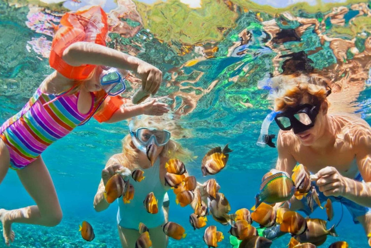 Cartagena: 6 Stopps auf den Rosario-Inseln, Oceanario, Mittagessen und Schnorcheln