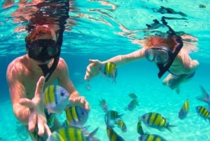 Cartagena: 6-Stop Rosario Islands Oceanario, Lunch & Snorkel