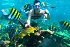 Cartagena: 6-Stop Rosario Islands Oceanario, Lunch & Snorkel