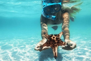 Cartagena: 6-Stop Rosario Islands Snorkel, Aquarium, & Lunch