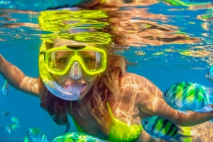 Cartagena: 6-Stop Rosario Islands Snorkel, Aquarium, & Lunch